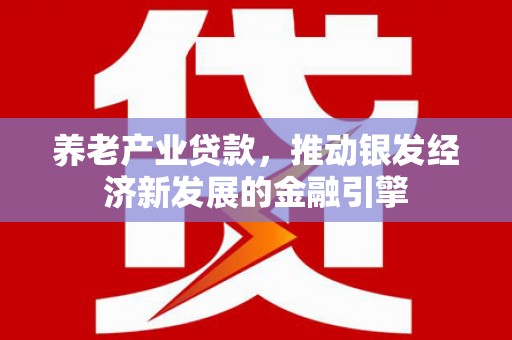 张北养老产业贷款，推动银发经济新发展的金融引擎