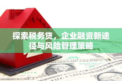 张北探索税务贷，企业融资新途径与风险管理策略