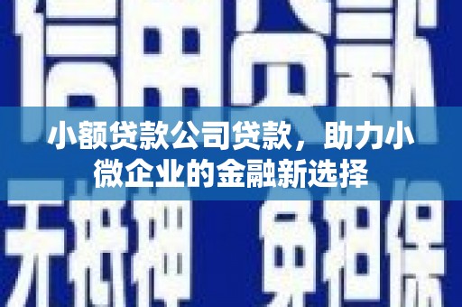 张北小额贷款公司贷款，助力小微企业的金融新选择