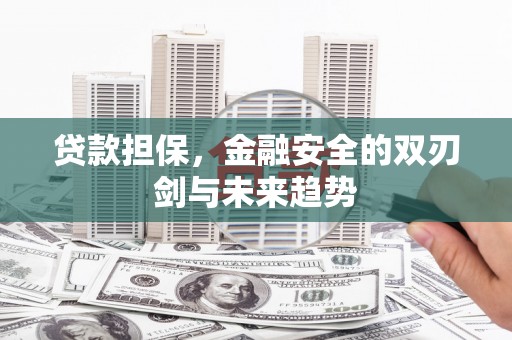 张北贷款担保，金融安全的双刃剑与未来趋势