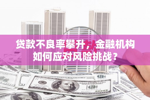 张北贷款不良率攀升，金融机构如何应对风险挑战？