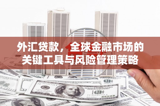 张北外汇贷款，全球金融市场的关键工具与风险管理策略