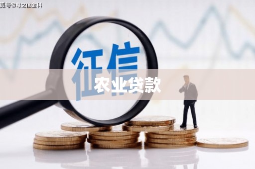 张北农业贷款