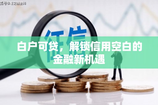 张北白户可贷，解锁信用空白的金融新机遇