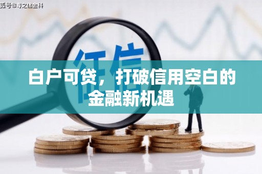 张北白户可贷，打破信用空白的金融新机遇