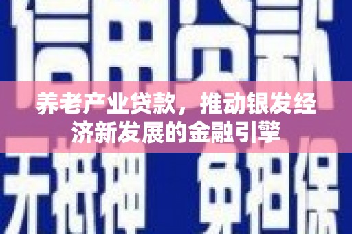 张北养老产业贷款，推动银发经济新发展的金融引擎