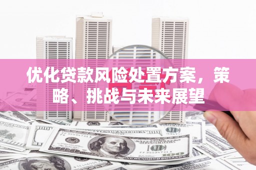张北优化贷款风险处置方案，策略、挑战与未来展望