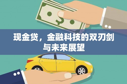 张北现金贷，金融科技的双刃剑与未来展望