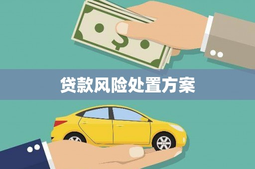 张北贷款风险处置方案