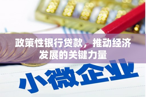 张北政策性银行贷款，推动经济发展的关键力量