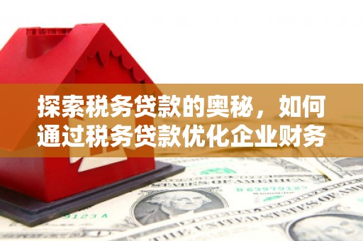 张北探索税务贷款的奥秘，如何通过税务贷款优化企业财务