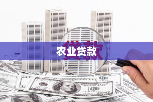 张北农业贷款