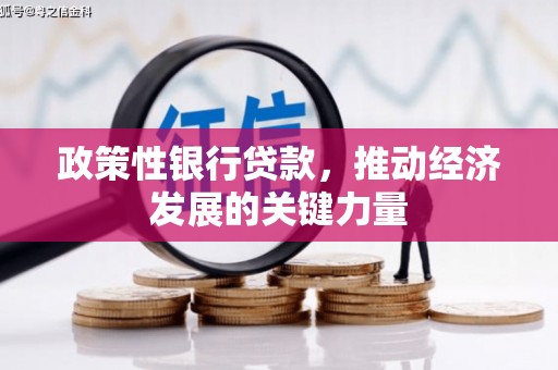 张北政策性银行贷款，推动经济发展的关键力量