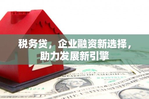 张北税务贷，企业融资新选择，助力发展新引擎