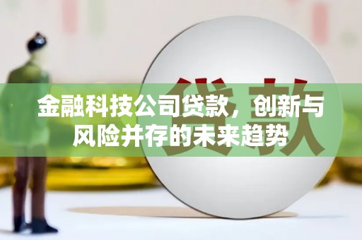 张北金融科技公司贷款，创新与风险并存的未来趋势