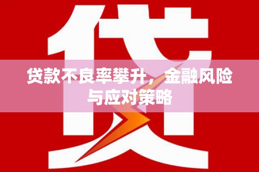 张北贷款不良率攀升，金融风险与应对策略