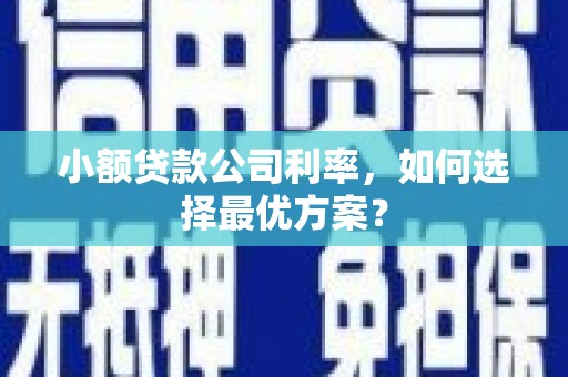 张北小额贷款公司利率，如何选择最优方案？