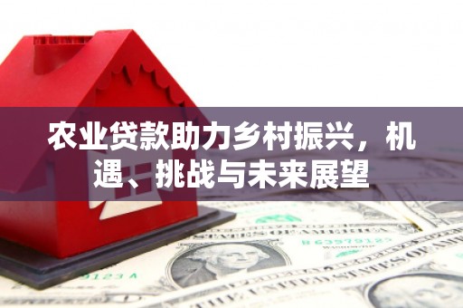 张北农业贷款助力乡村振兴，机遇、挑战与未来展望