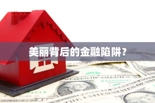 张北美丽背后的金融陷阱？