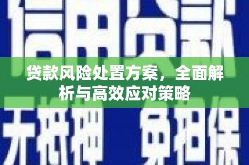 张北贷款风险处置方案，全面解析与高效应对策略