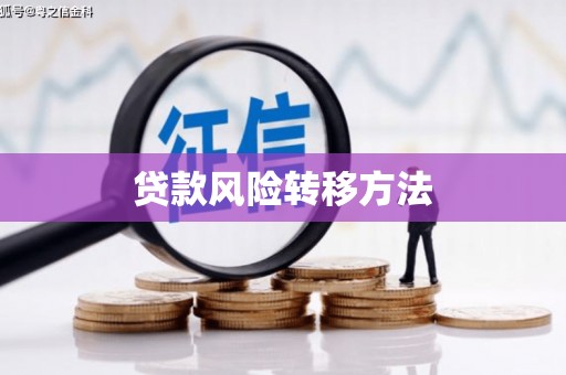 张北贷款风险转移方法