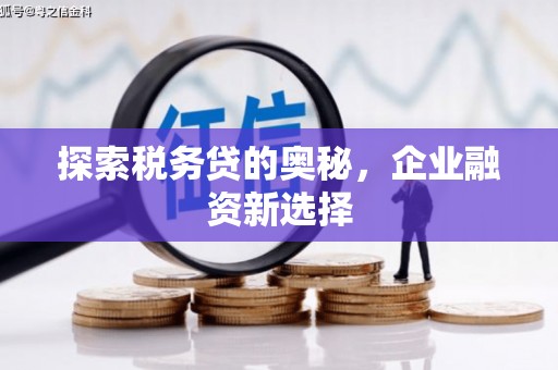 张北探索税务贷的奥秘，企业融资新选择