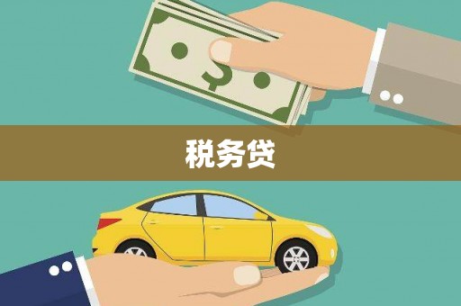张北税务贷