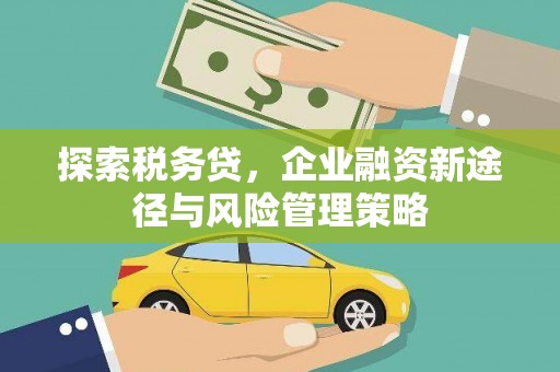 张北探索税务贷，企业融资新途径与风险管理策略