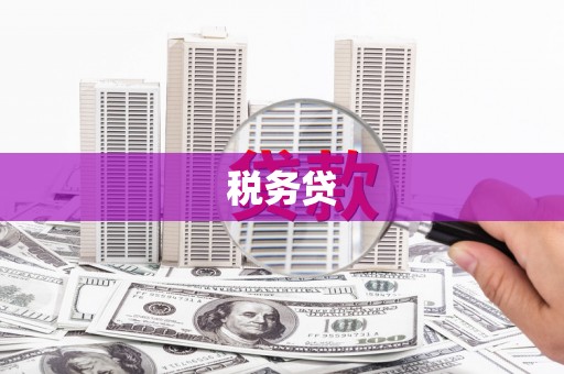 张北税务贷