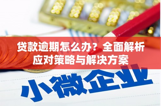 张北贷款逾期怎么办？全面解析应对策略与解决方案