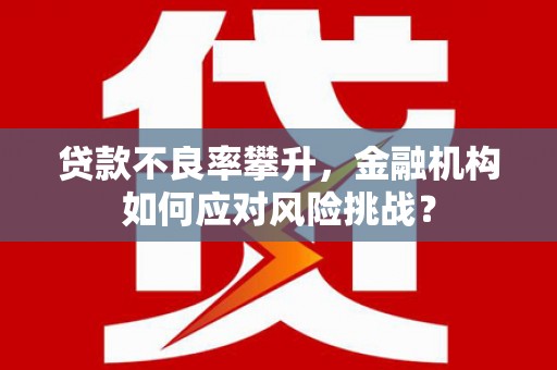 张北贷款不良率攀升，金融机构如何应对风险挑战？