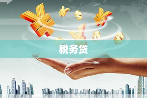 张北税务贷