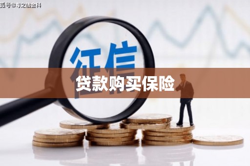 张北贷款购买保险
