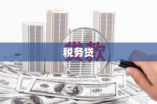 张北税务贷