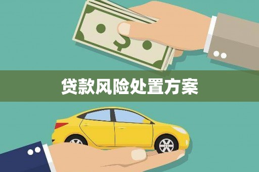 张北贷款风险处置方案