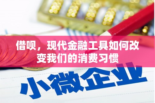 张北借呗，现代金融工具如何改变我们的消费习惯