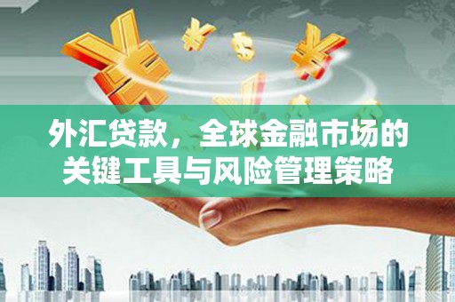 张北外汇贷款，全球金融市场的关键工具与风险管理策略