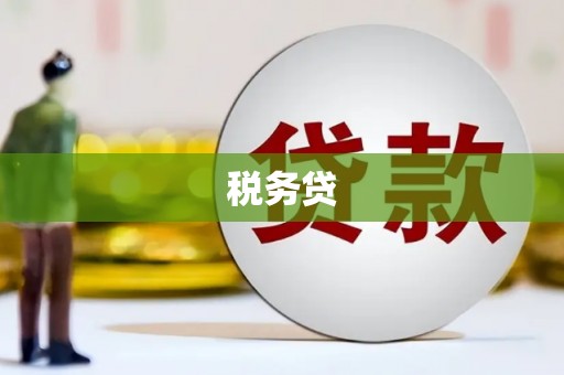 张北税务贷