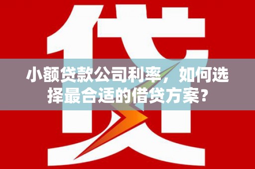 张北小额贷款公司利率，如何选择最合适的借贷方案？