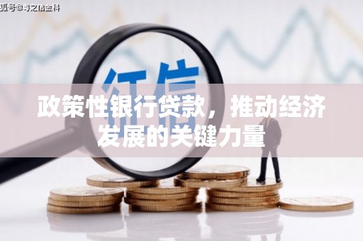 张北政策性银行贷款，推动经济发展的关键力量