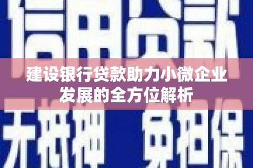 张北建设银行贷款助力小微企业发展的全方位解析