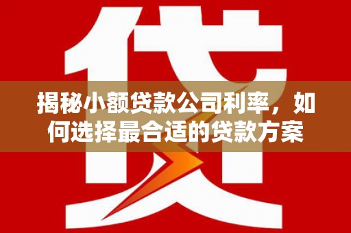 张北揭秘小额贷款公司利率，如何选择最合适的贷款方案