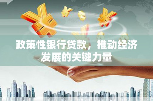 张北政策性银行贷款，推动经济发展的关键力量