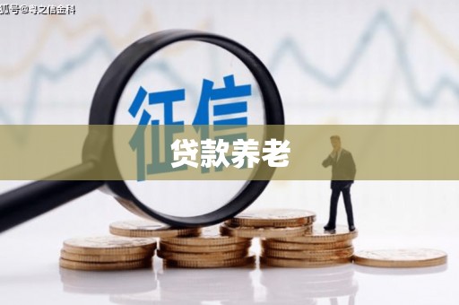 张北贷款养老