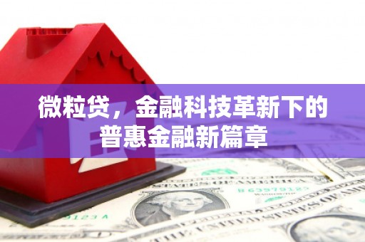 张北微粒贷，金融科技革新下的普惠金融新篇章
