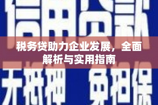 张北税务贷助力企业发展，全面解析与实用指南
