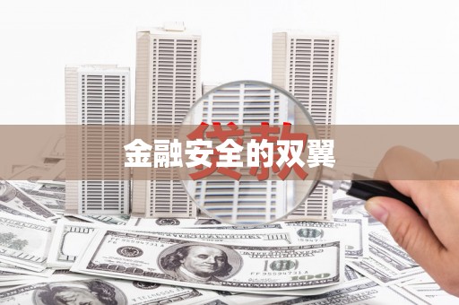 张北金融安全的双翼