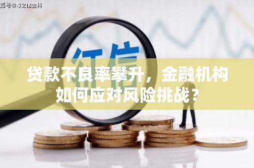 张北贷款不良率攀升，金融机构如何应对风险挑战？