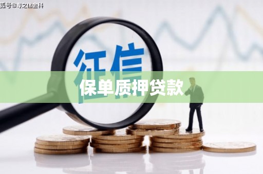 张北保单质押贷款