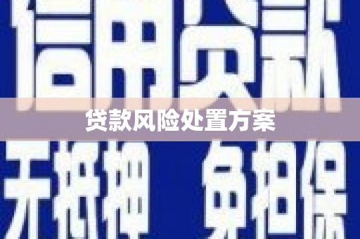 张北贷款风险处置方案